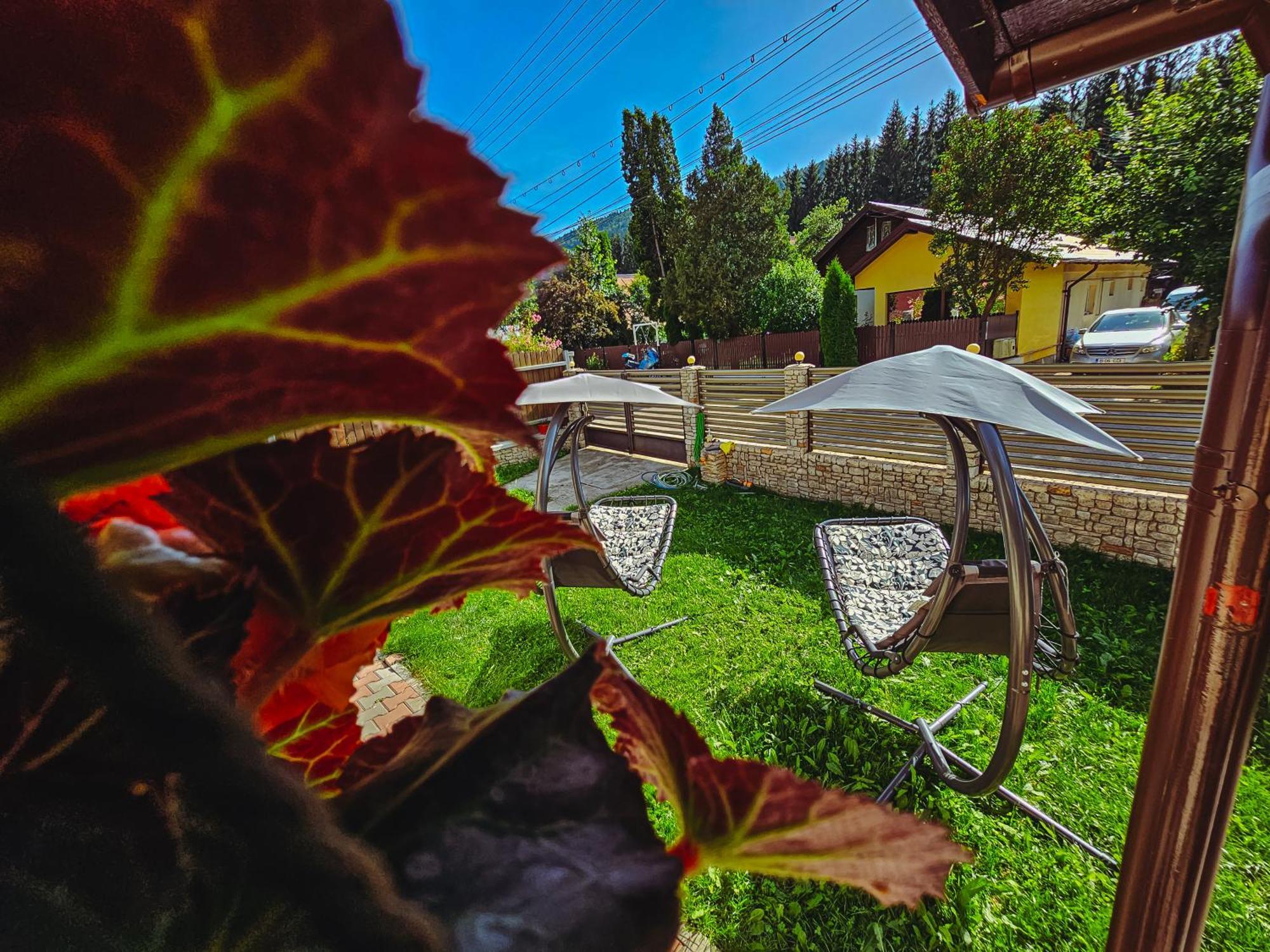 Hotel Alpine Bliss Sinaia Exteriér fotografie